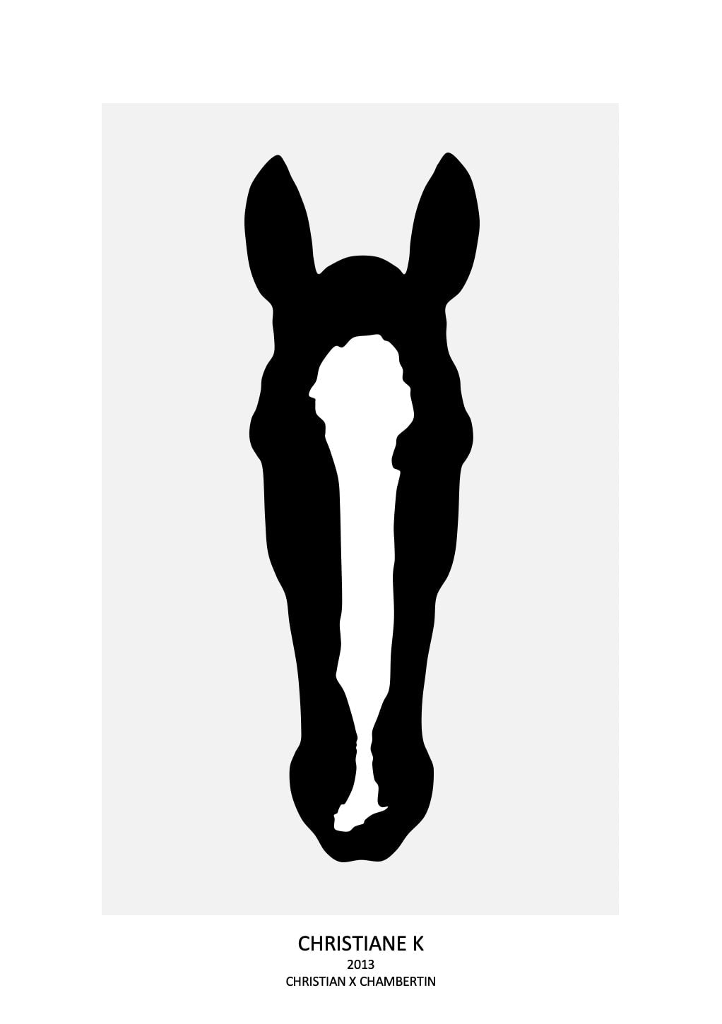 Pferdeportrait - als Download (ohne Druck und Rahmen)