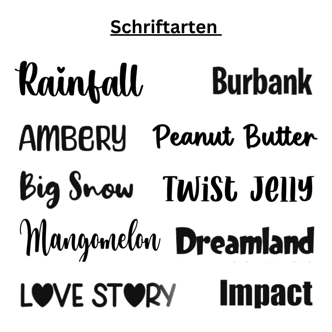 Equidenpasshülle Swiss