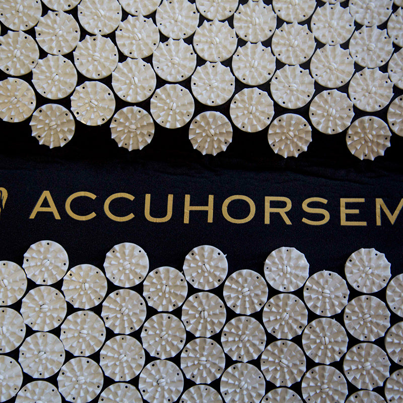 Accuhorsemat Cooler mit Akupressurmatten