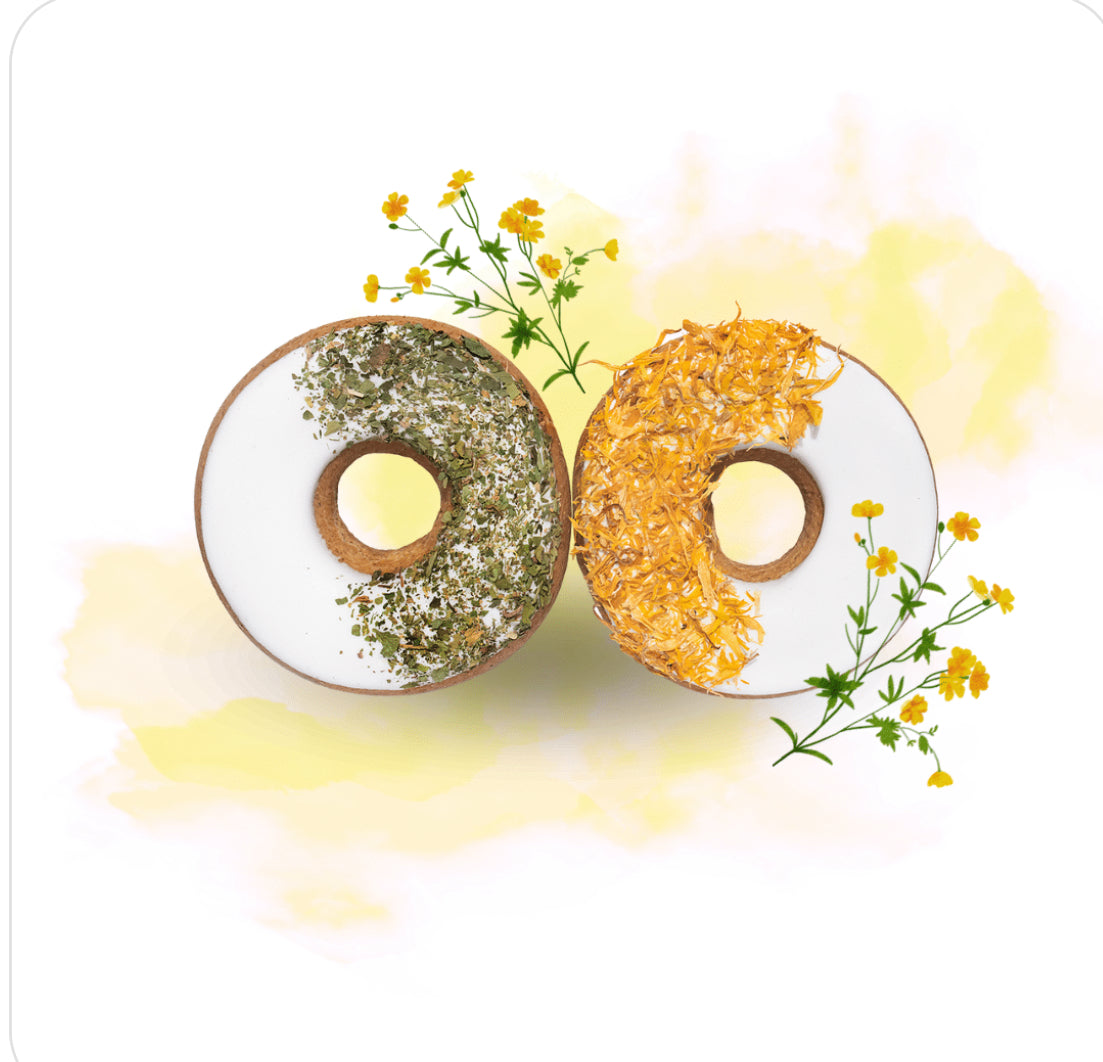 🌿 Candy Horse Donuts – Petersilie & Ringelblume