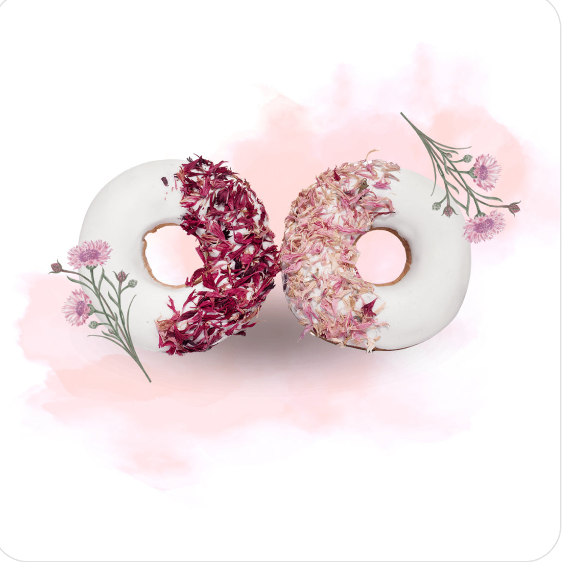 🩷 Candy Horse Donuts – Pink Cornflower