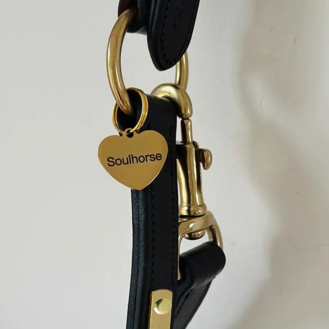 LeMieux Lederhalfter extra Soft mit individueller Gravur