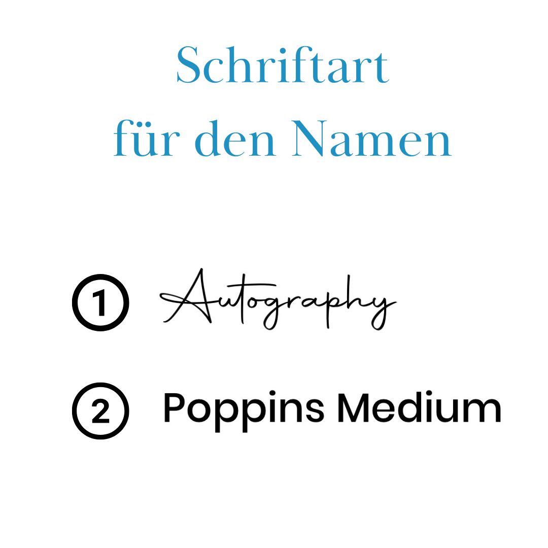 Individuelle Equidenpasshülle Brandzeichen