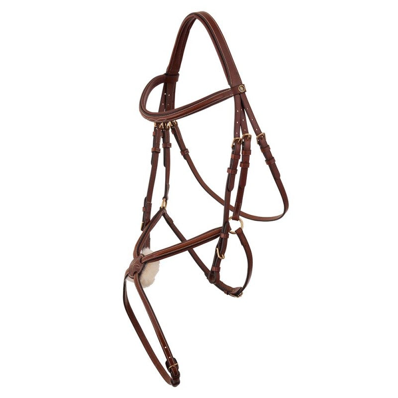 Mexikanischer Zaum Fareham