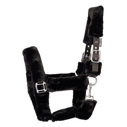 Halfter Teddy Colour - Reitsportwelt