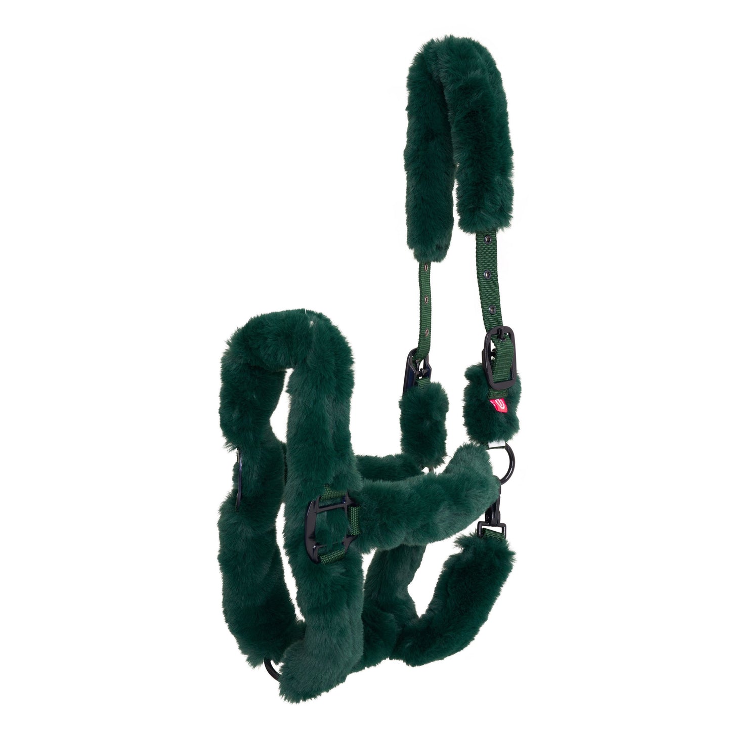 Fellhalfter Shiny Snake