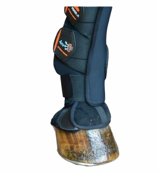 Stallgamaschen Hinten