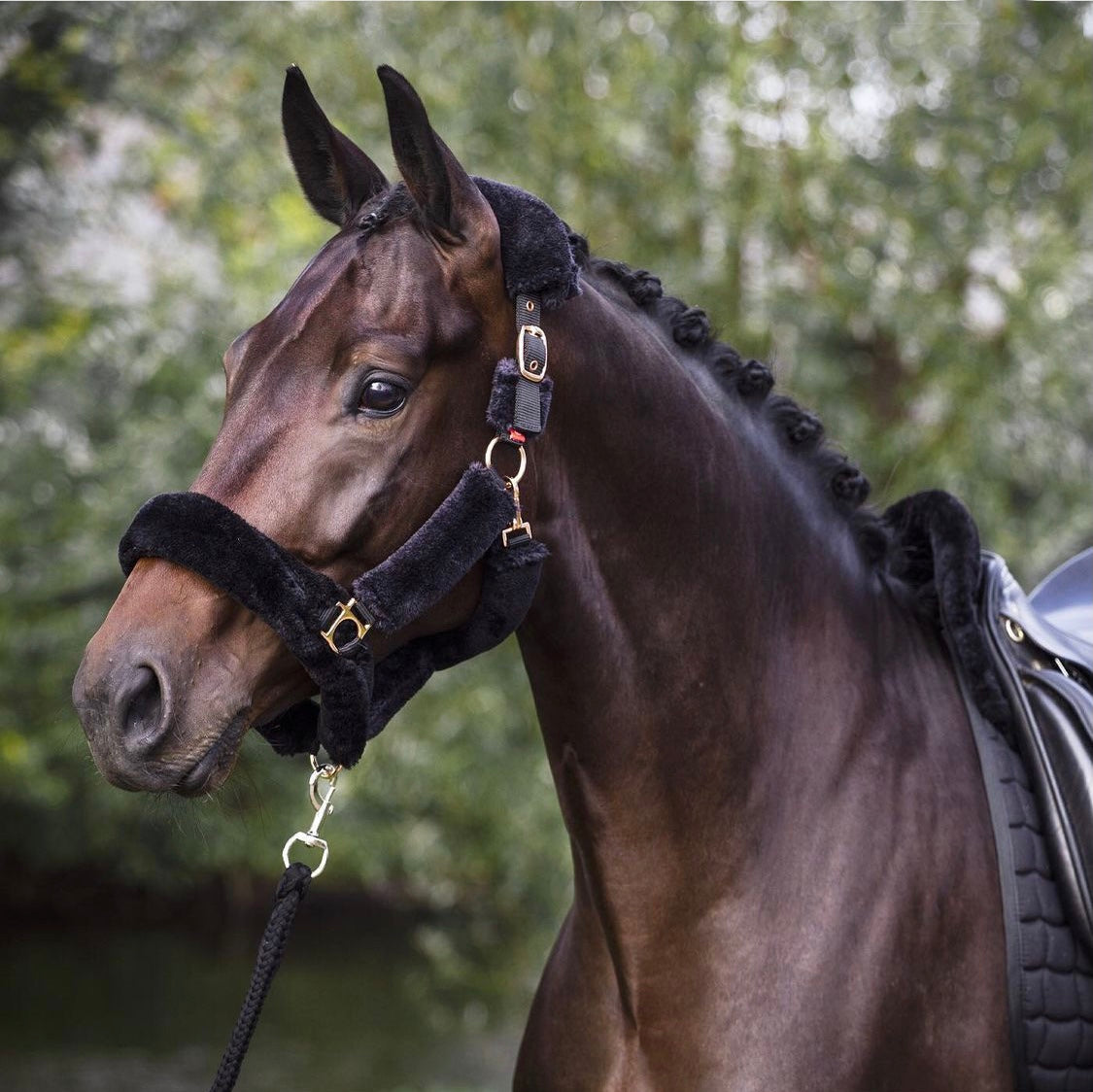 Halfter Fur Go Star Black