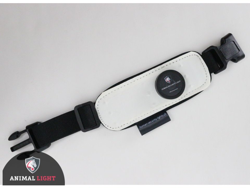 Leucht-Armbinde Flex