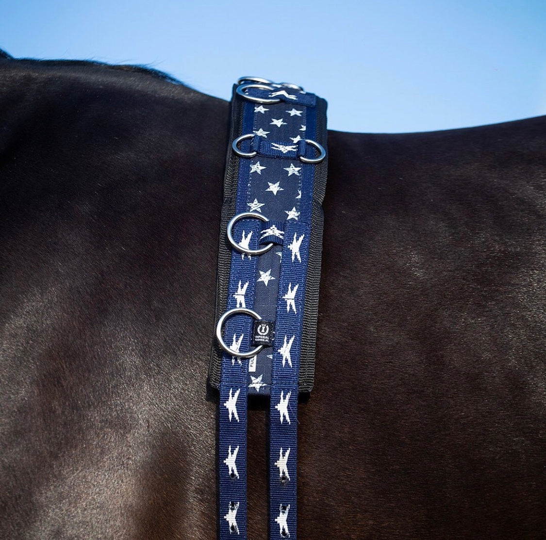 Gerten und Longieren