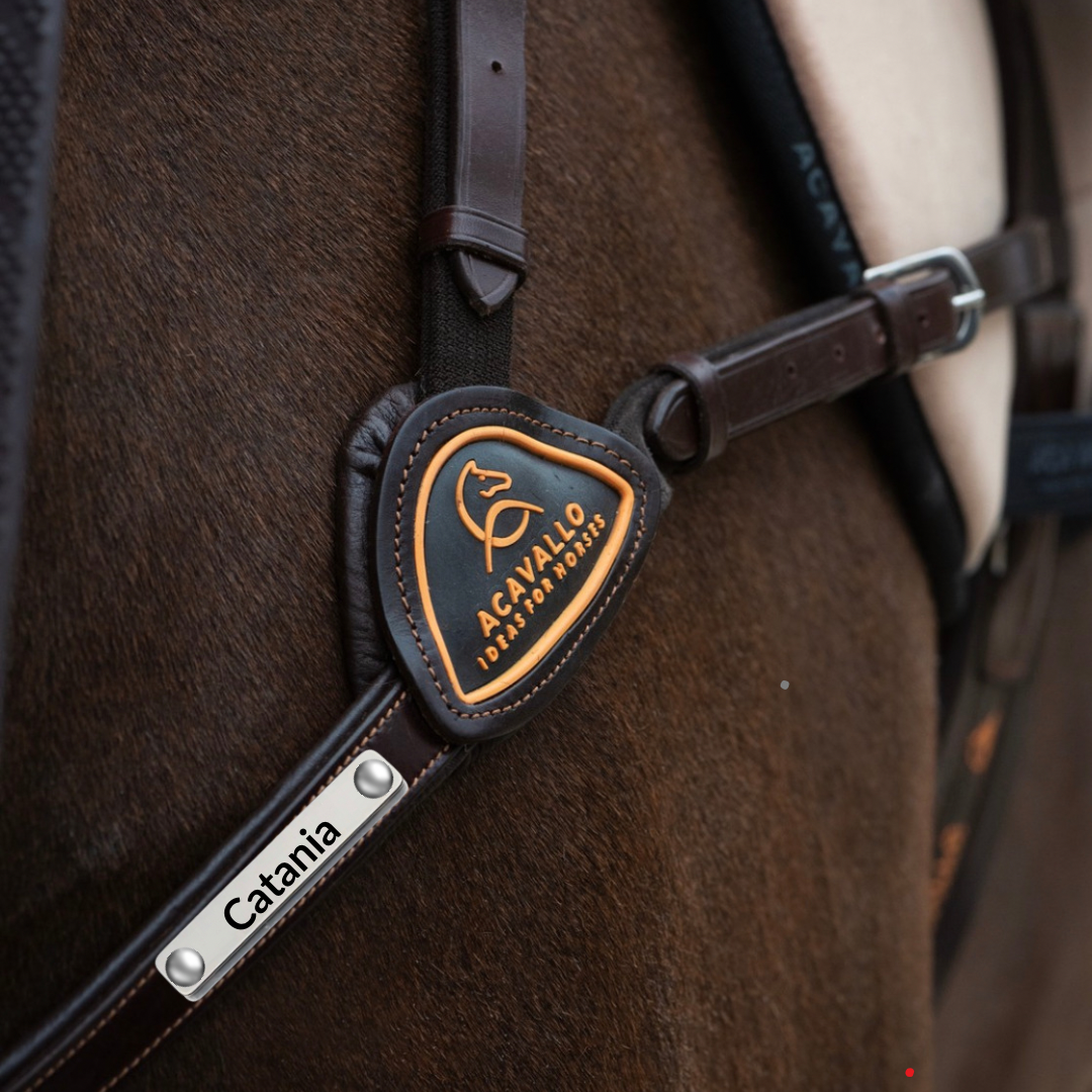 Hilfszügel und Vorderzeug