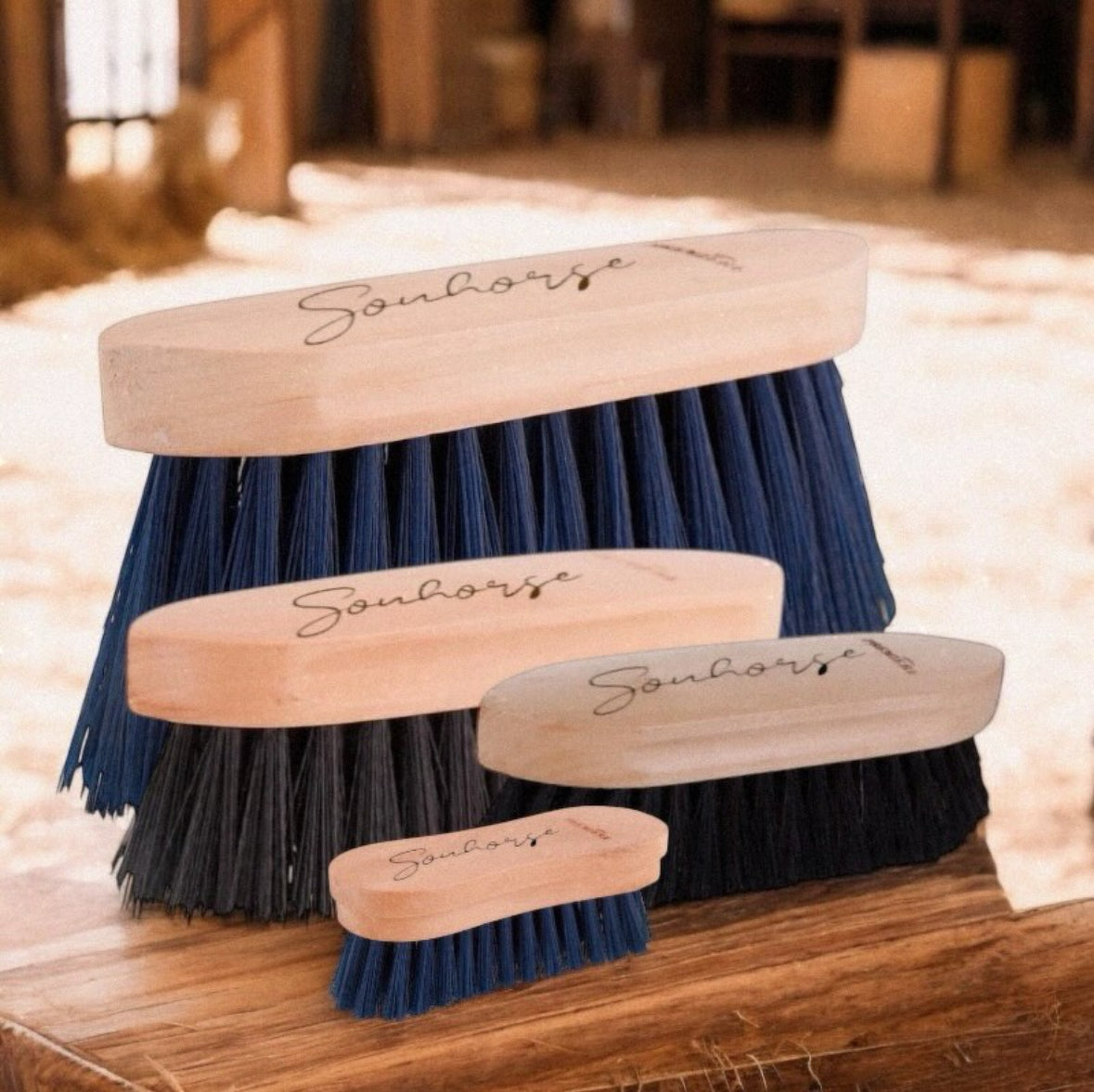 Personalisierte Pferdebürsten