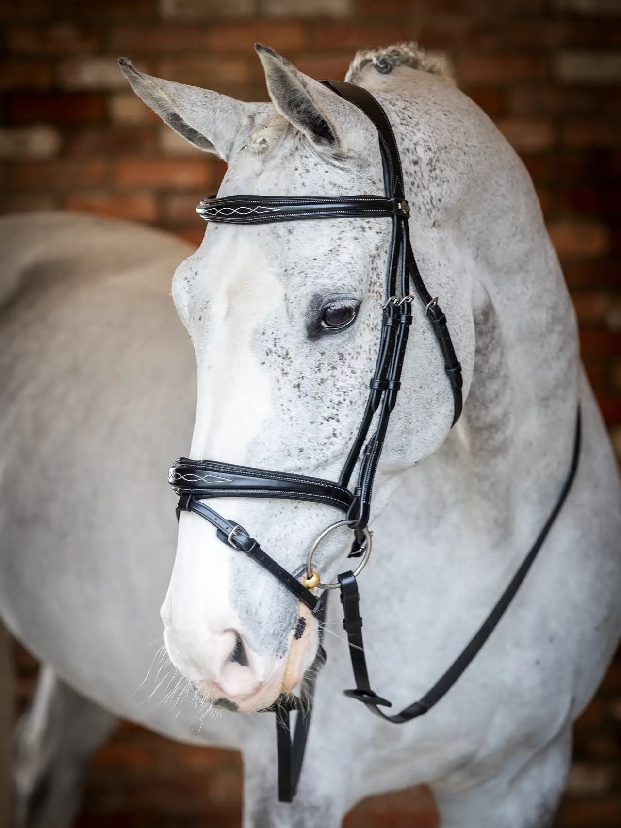 Kudos Competition Flash Bridle