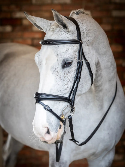 Kudos Competition Flash Bridle