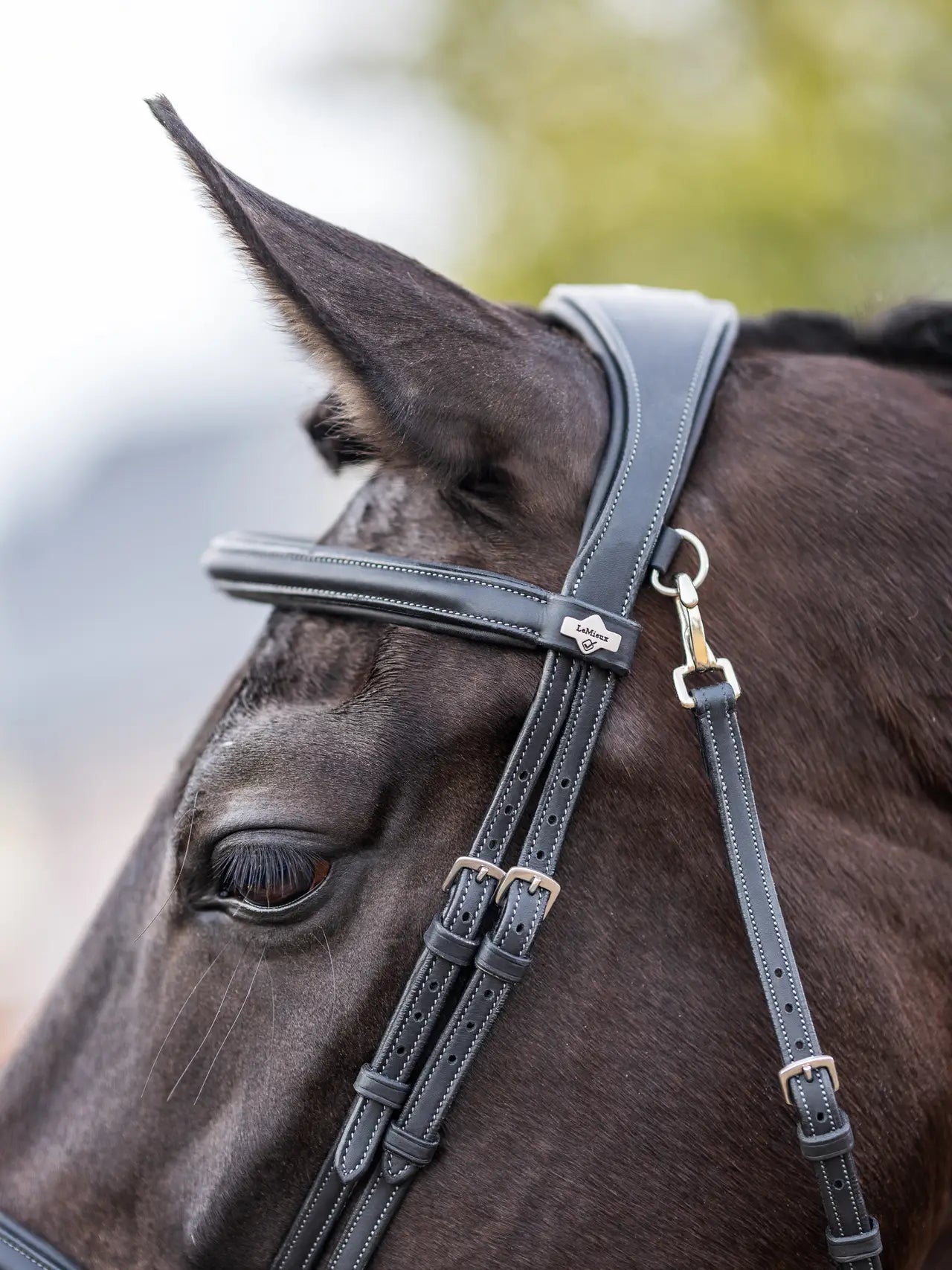 Kudos Work Bridle