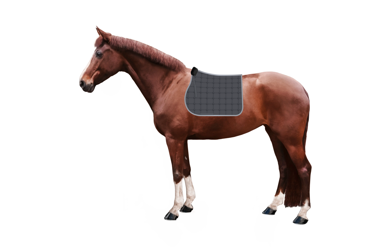 Syntec Cube Schabracke