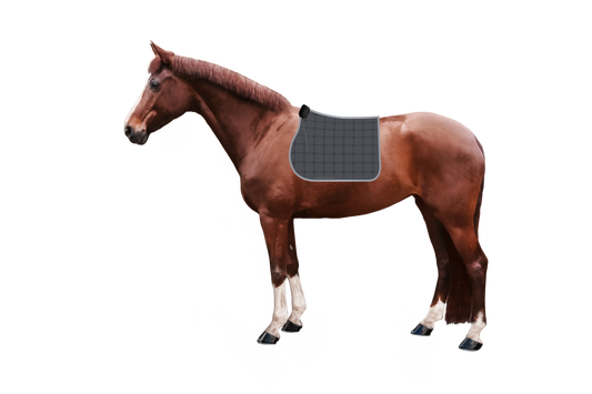 Syntec Cube Schabracke