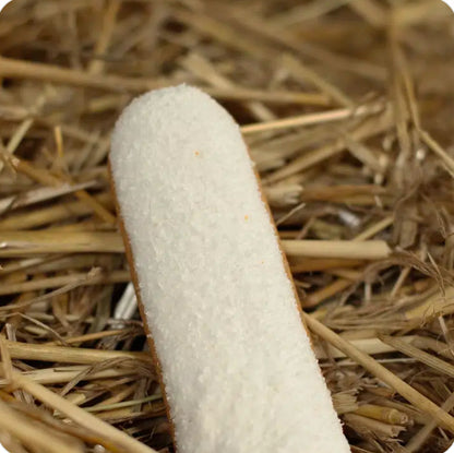 🥥 Der Candy Horse Kokosnuss-Éclair