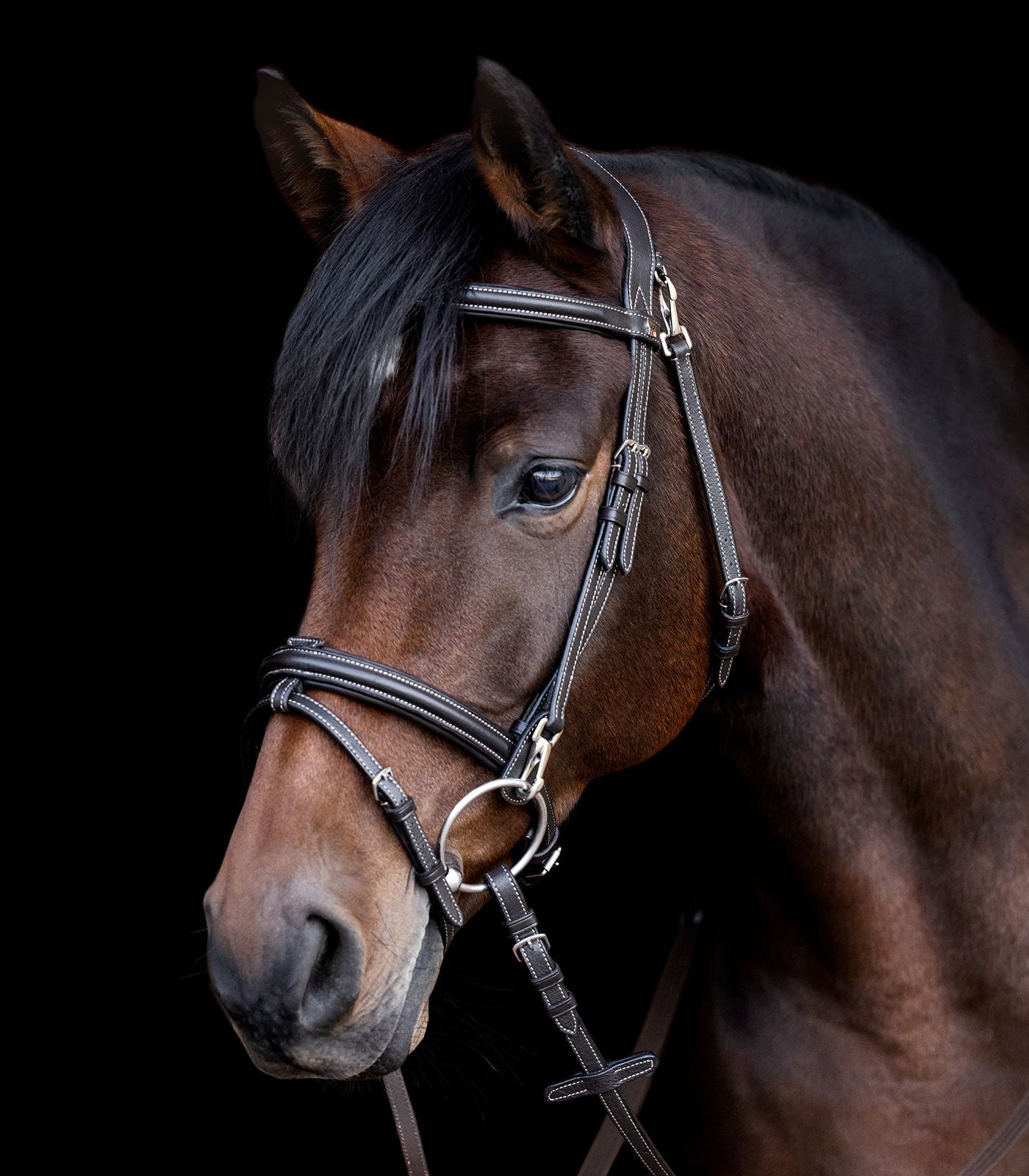 X-Line Trensenzaum Work