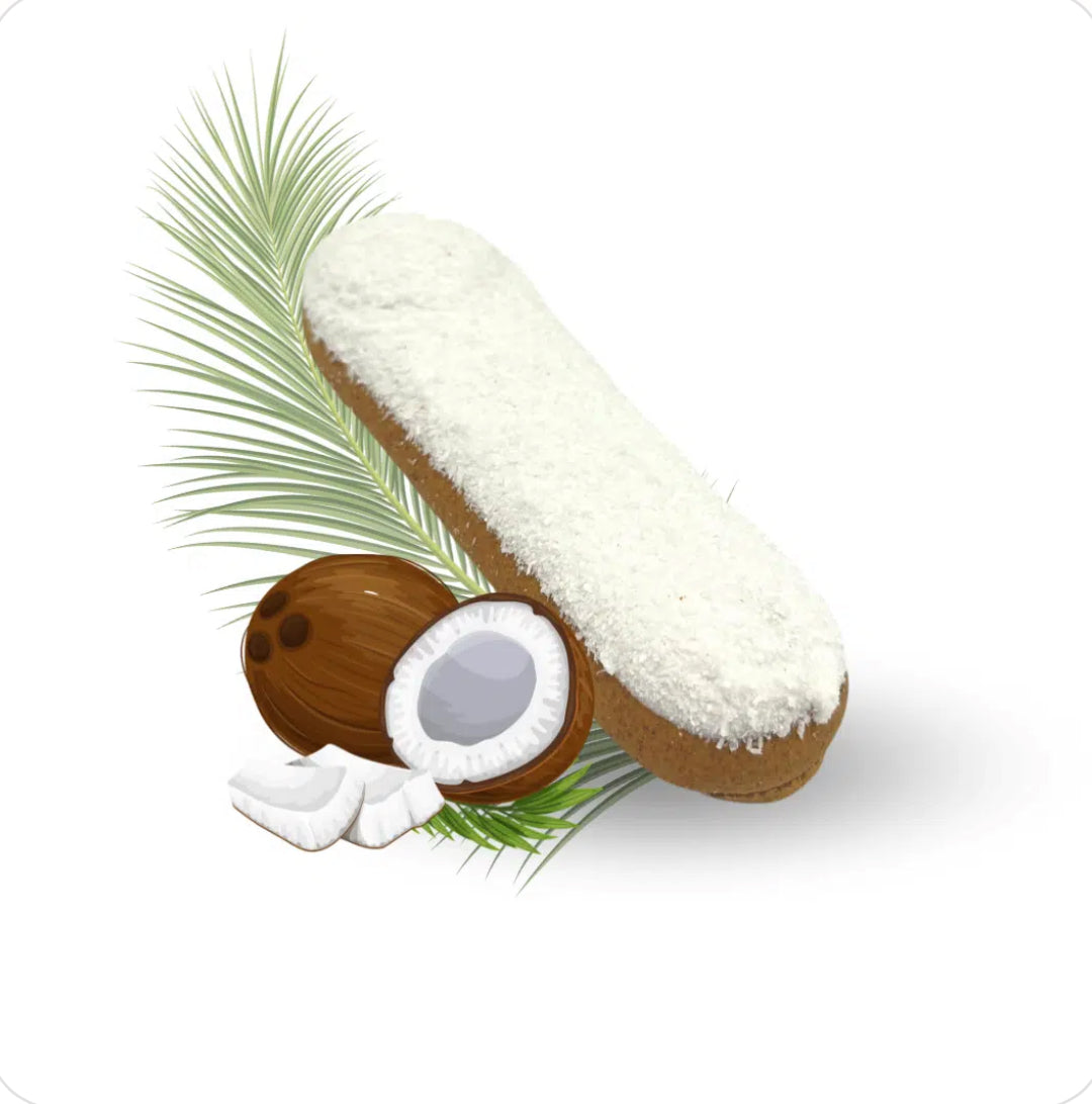 🥥 Der Candy Horse Kokosnuss-Éclair