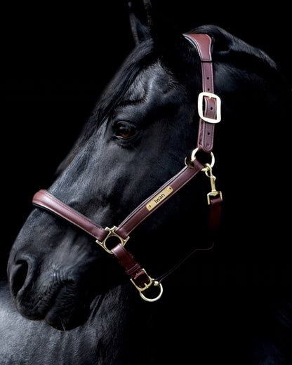 LeMieux Lederhalfter extra Soft mit individueller Gravur