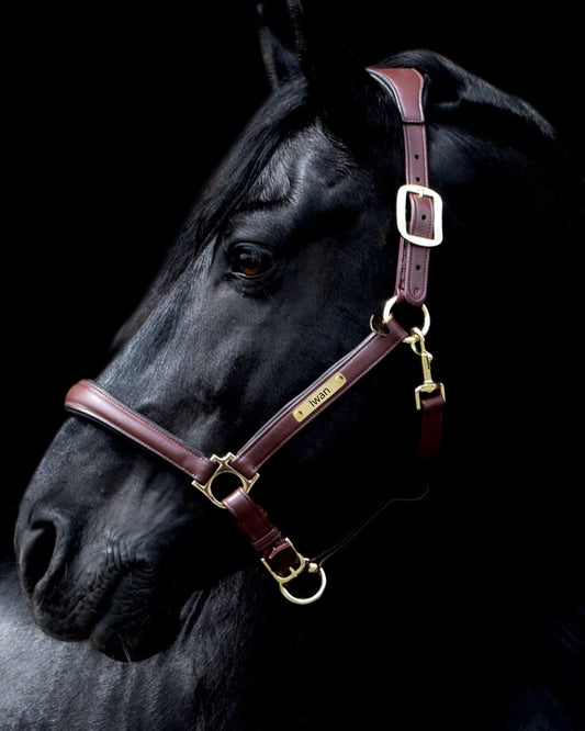 LeMieux Lederhalfter extra Soft mit individueller Gravur