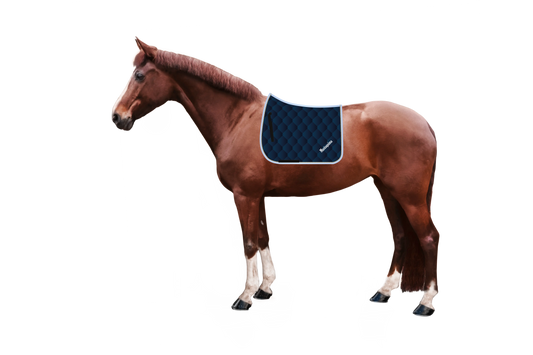 Schabracke Macro Avenue