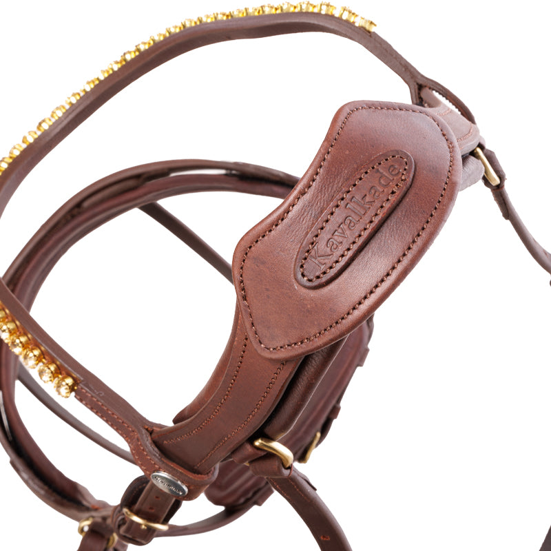 Trense Caliano geöltes Leder