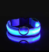 LED Hundehalsband Safety