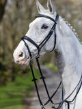 Kudos Competition Flash Bridle