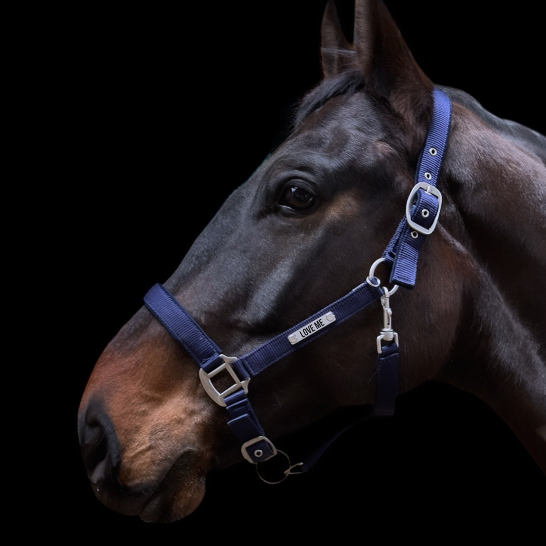 Halfter Satin individuell graviert