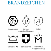 Boxentafel Brandzeichen Metallic Lasergravur