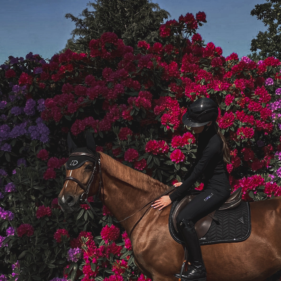 ED Black Diamond Schabracke