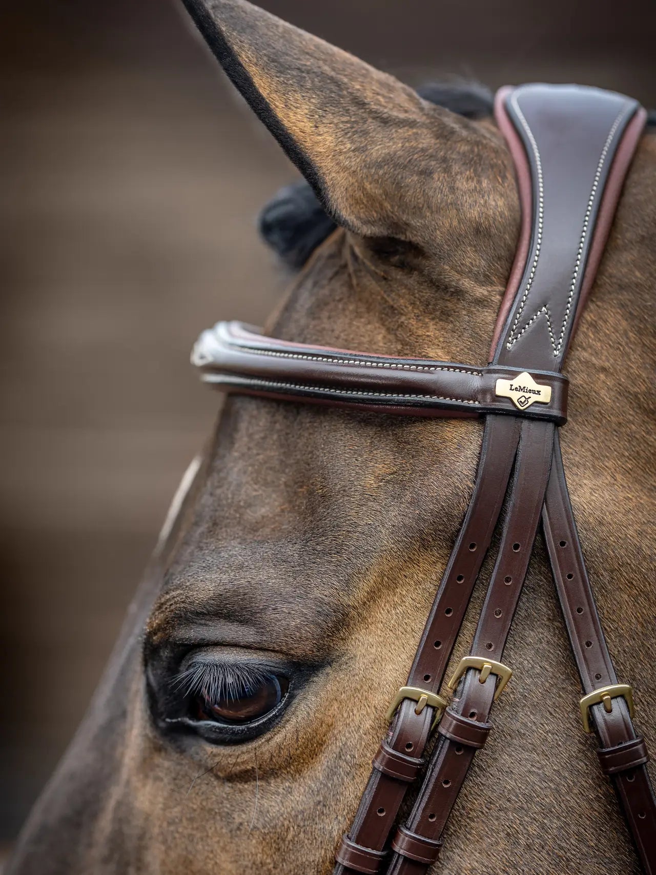 Kudos Competition Flash Bridle