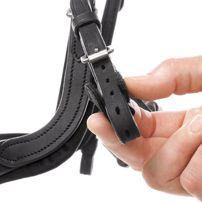 Trense Caliano geöltes Leder