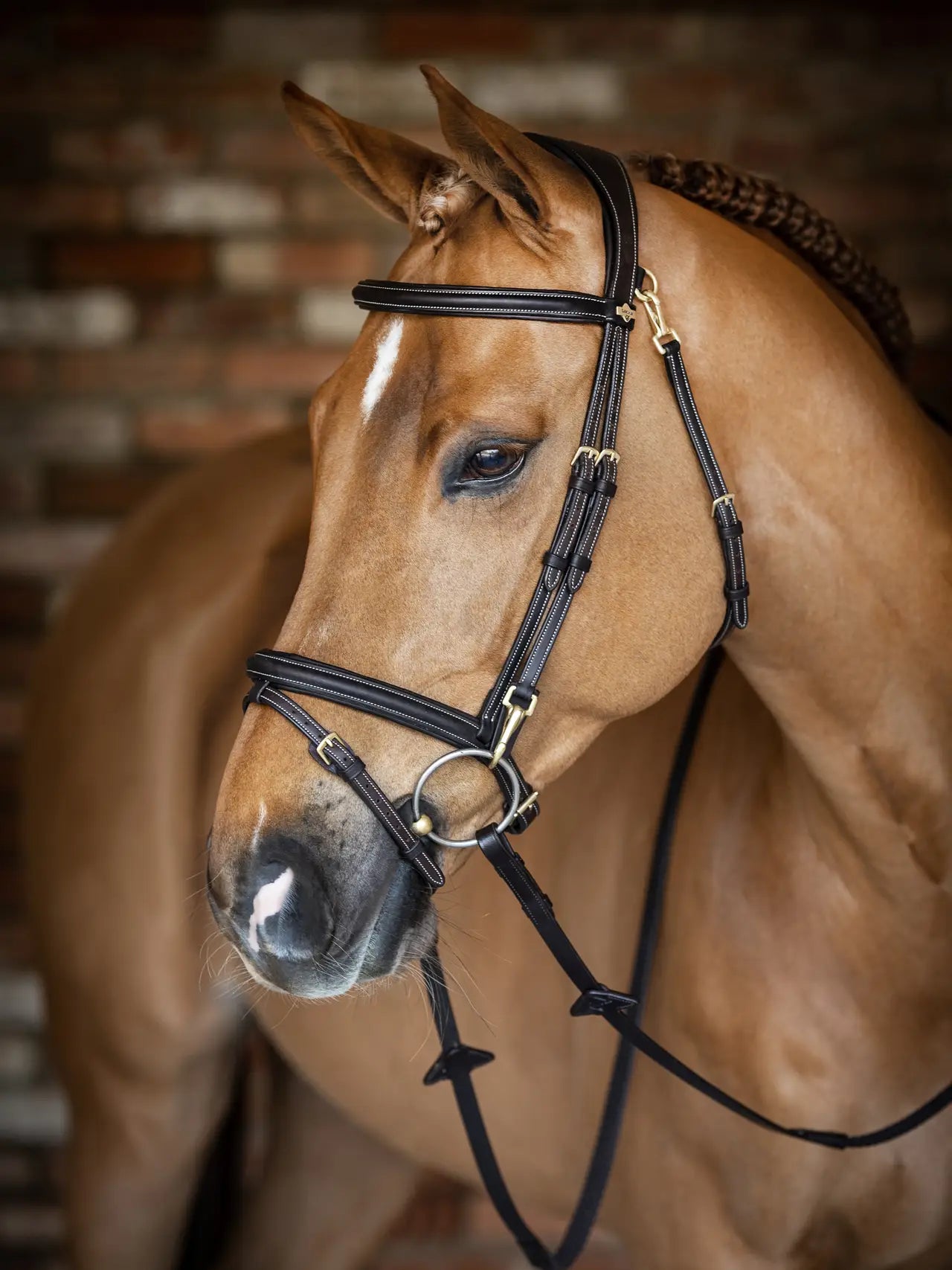 Kudos Work Bridle