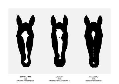 Bild mit zwei (oder mehr) Portraits inkl. Druck und Rahmen - 50 x 70cm