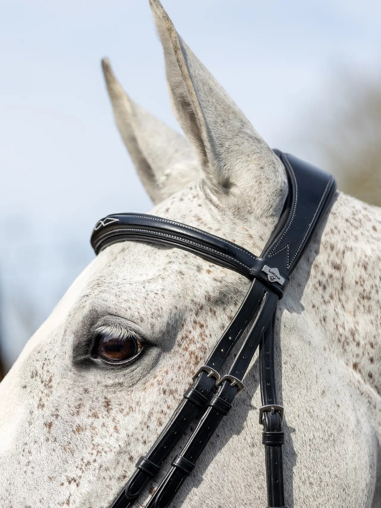 Kudos Competition Flash Bridle