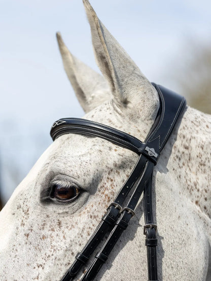 Kudos Competition Flash Bridle