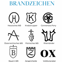 Boxentafel Brandzeichen Metallic Lasergravur