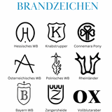 Boxentafel Brandzeichen Metallic Lasergravur