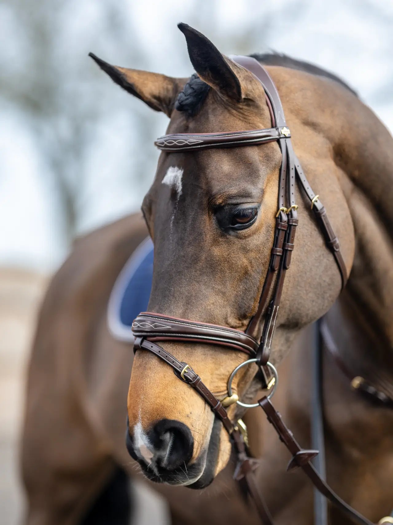 Kudos Competition Flash Bridle