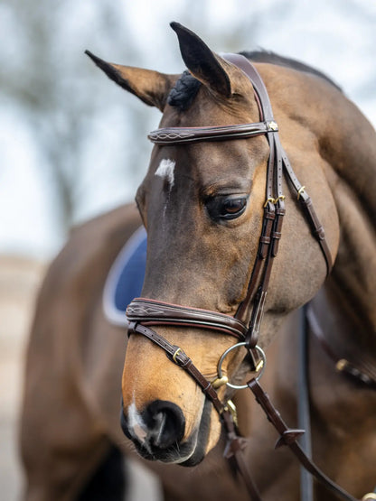Kudos Competition Flash Bridle