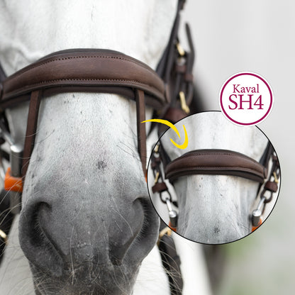 Trense Caliano geöltes Leder