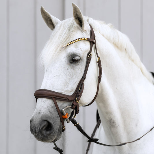 Trense Caliano geöltes Leder