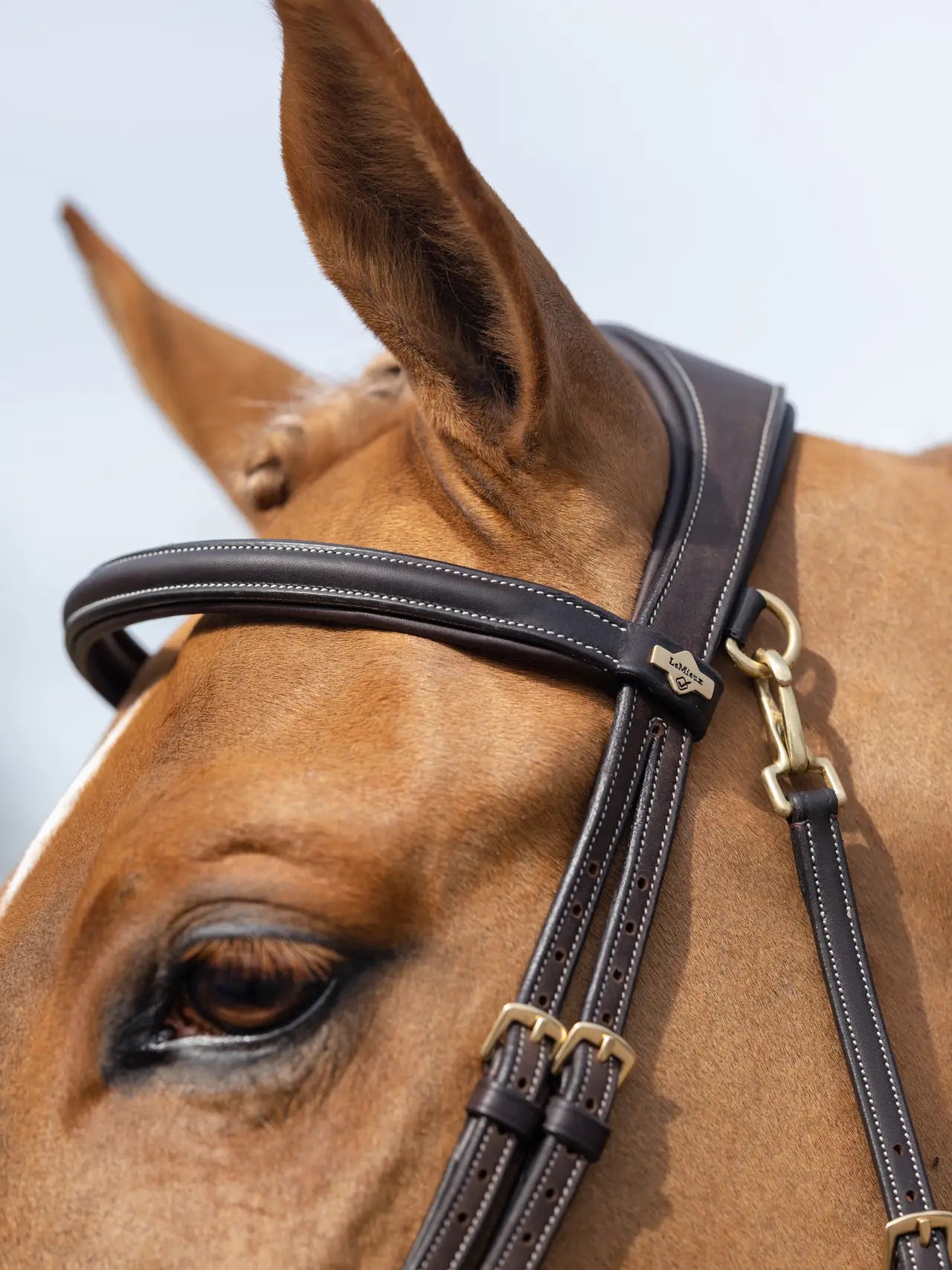 Kudos Work Bridle