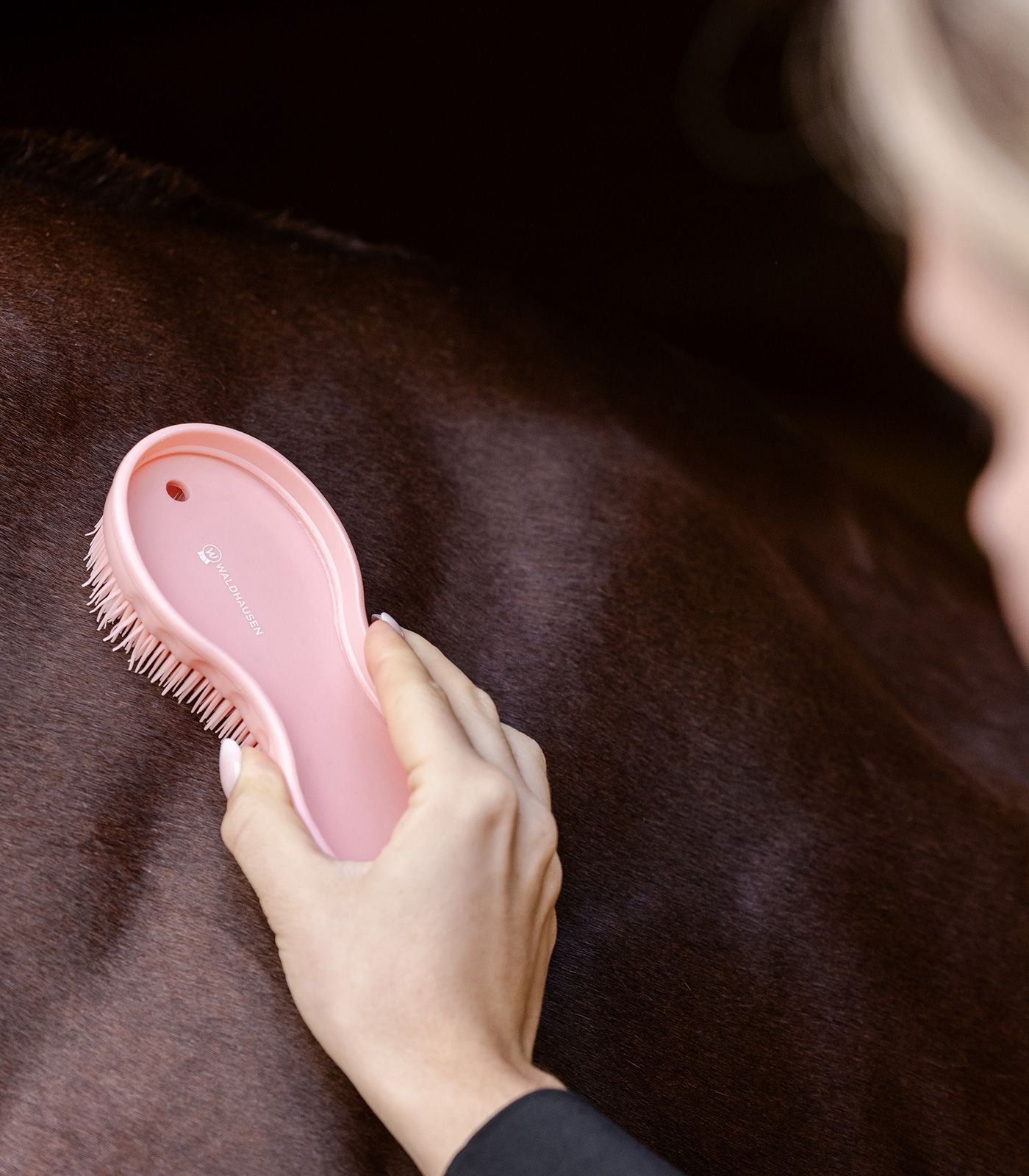 All in One Bürstenset