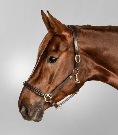 Lederhalfter S-Line Classy