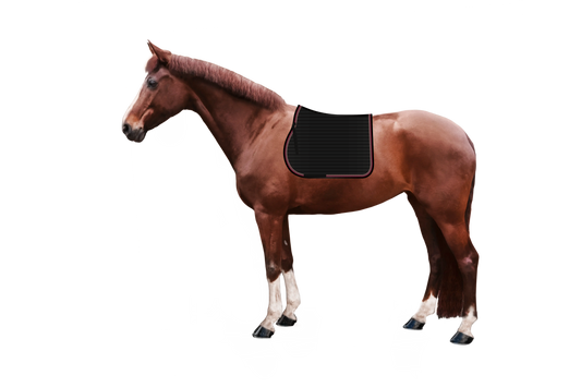 Schabracke Syntec Fineline