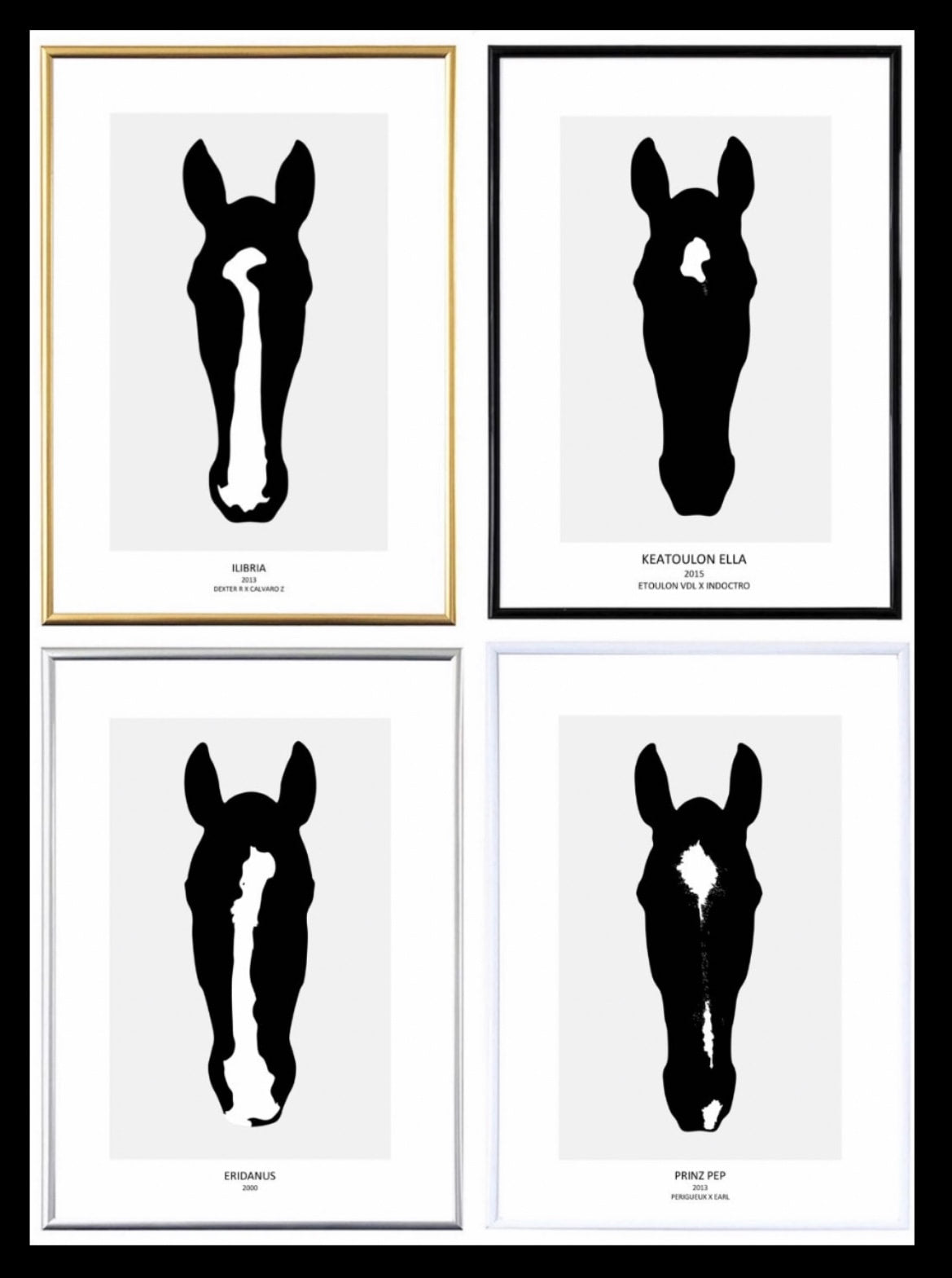 Pferdeportrait inkl. Druck und Rahmen A3 (29.7 x 42cm)